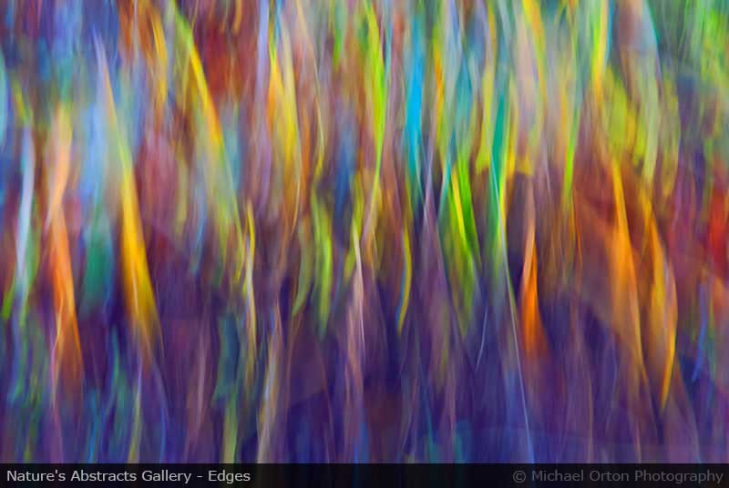 Nature's Abstracts Gallery - Edges